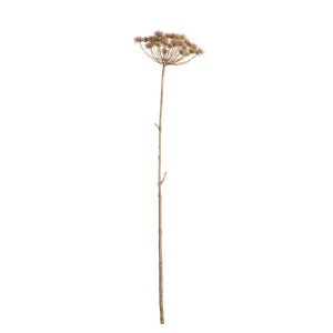 Dekoria Větvička Heracleum 125cm, 20 x 20 x 125 cm