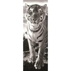 Puzzle Černo-bílý tygr 1000 dílků panoramatické
