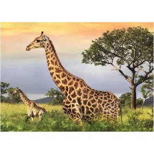 Puzzle Žirafí Rodina 1000 dílků