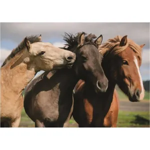 DINOTOYS - Barevné koně 300 XL Puzzle NOVÉ