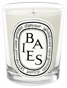 Diptyque Baies - svíčka 190 g