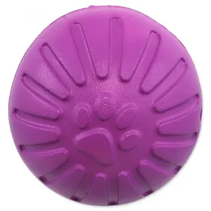 Hračka Dog Fantasy EVA míček fialový 9cm