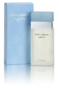 Dolce & Gabbana Light Blue - EDT 2 ml - odstřik s rozprašovačem