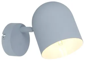 Candellux Šedé stropní/nástěnné svítidlo Azuro pro žárovku 1x E27 91-63205