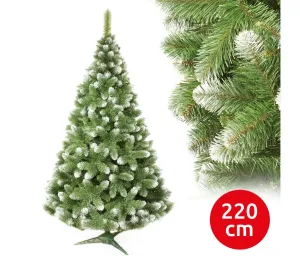 Vánoční stromky Donoci