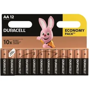 Duracell Basic alkalická baterie 12 ks (AA)