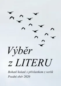 Výběr z LITERU - Čeněk Pekař - e-kniha