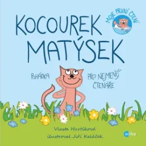 Kocourek Matýsek - Vlasta Hurtíková - e-kniha