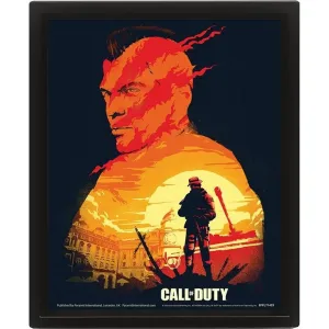 3D Obraz Call of Duty (Sunset)