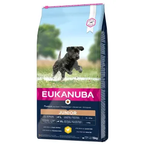 Eukanuba Junior Large Breed kuřecí - 15 kg