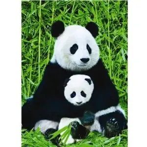 Eurographics Puzzle Panda a mládě 1000 dílků