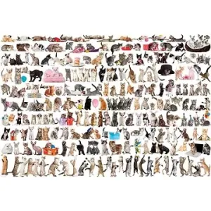 Puzzle Svět koček 2000 dílků