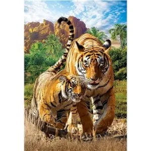 Eurographics Puzzle Save Our Planet: Tygři XL 250 dílků