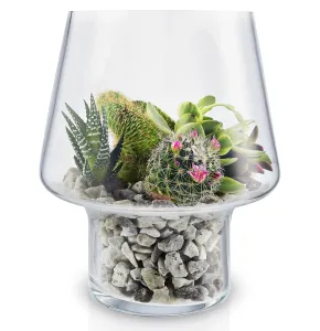 EVA SOLO Skleněná váza na sukulenty 15 cm