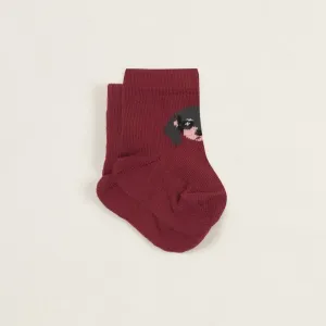 Ponožky baby pejsek Extreme Intimo velikost: 0-3 měsíce