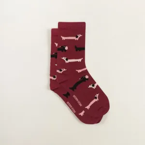 Dámské ponožky pejsci Extreme intimo velikost: 38/39