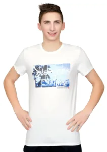 Pánské tričko s obrázkem palmy Fabio Barva / Velikost: bílá / M/L
