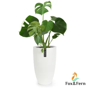 Fox & Fern Květináč Almere Fibre Stone ideální pro rostliny, ručně vyrobený, kónický #760431