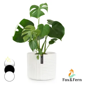 Fox & Fern Květináč Hasselt z polystonu, ručně vyrobený, vhodný pro rostliny ve 3D vzhledu