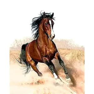 Gaira Cválající kůň M1182