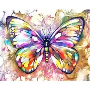 Gaira Motýl M991854Z