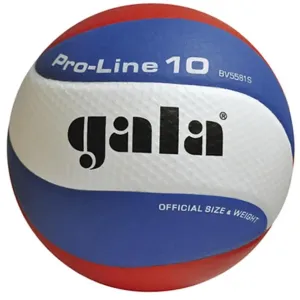 Míč na volejbal gala pro-line 10 bv 5581 s