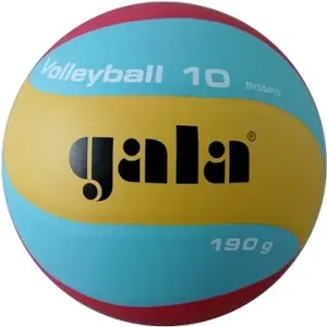 Gala Volleyball 10 BV 5541 S - 180g