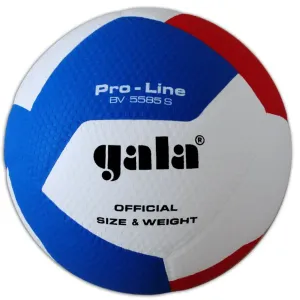 Gala Pro Line 12 BV 5585 S