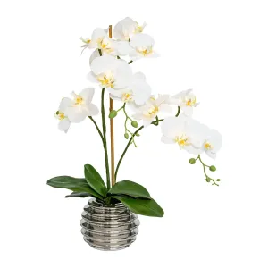 Gasper Umělá květina Orchidej s 9 LED, 60 cm, krémová