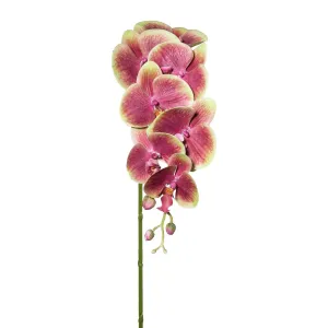 Gasper Umělá orchidej 3D stvol, 87 cm