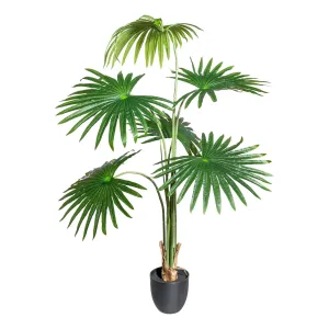 Gasper Umělá rostlina Washingtonie, 120 cm