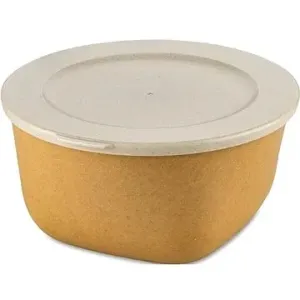 Gastro Box s víkem Connect 2 l, žlutý