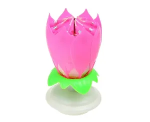 985138 DR Hrající narozeninová svíčka - Lotosový květ Růžová
