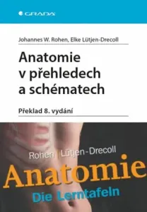 Anatomie v přehledech a schématech - Elke Lütjen-Drecoll, Johannes W. Rohen