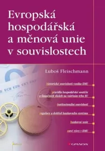 Evropská hospodářská a měnová unie v souvislostech - Fleischmann Luboš - e-kniha
