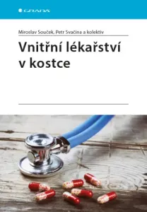 Vnitřní lékařství v kostce - Miroslav Souček, Petr Svačina - e-kniha