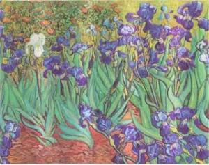 Kniha hostů Paperblanks - Van Gogh’s Irises - nelinkovaná