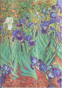 Zápisník Paperblanks - Van Gogh’s Irises - Midi linkovaný