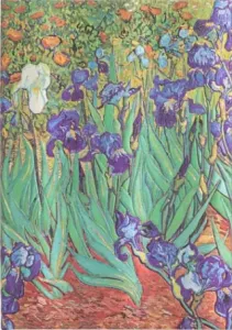 Zápisník Paperblanks - Van Gogh’s Irises - Midi nelinkovaný