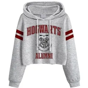 Harry Potter: College Style Hogwarts - dámská croptop mikina L