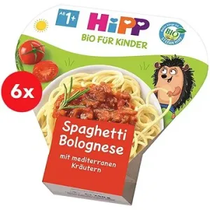 HiPP BIO Boloňské špagety 6× 250 g #3516290
