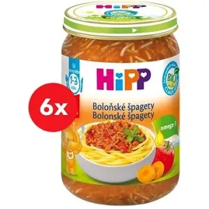 HiPP BIO Boloňské špagety 6× 250 g #53693