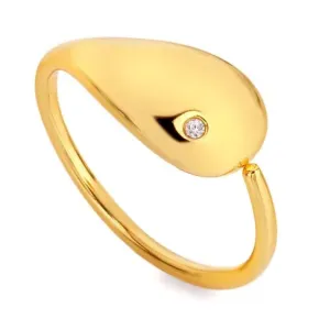 Hot Diamonds Elegantní pozlacený prsten s diamantem Jac Jossa Soul DR282 55 mm