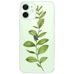 iSaprio Green Plant 01 pro iPhone 12 mini