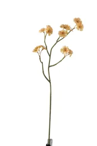 Větvička s béžovými květy Tweedia - 7*10*51 cm 97293 #6033579