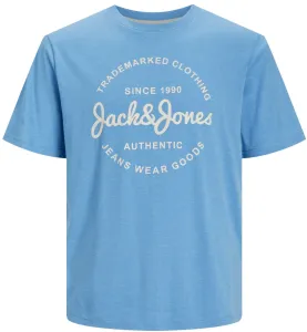 Jack&Jones Pánské triko JJFOREST Standard Fit 12247972 Pacific Coast S