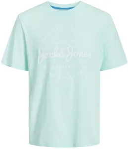 Jack&Jones Pánské triko JJFOREST Standard Fit 12247972 Soothing Sea L