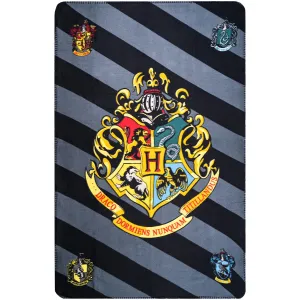 Jerry Fabrics Dětská fleecová deka Harry Potter 067 100×150 cm