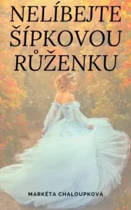 Nelíbejte Šípkovou Růženku - Markéta Chaloupková - e-kniha