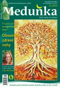Meduňka 11/2022 - K4K Publishing - e-kniha